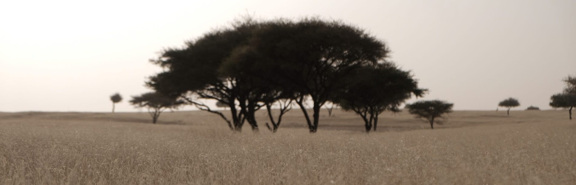 Kanembu Site